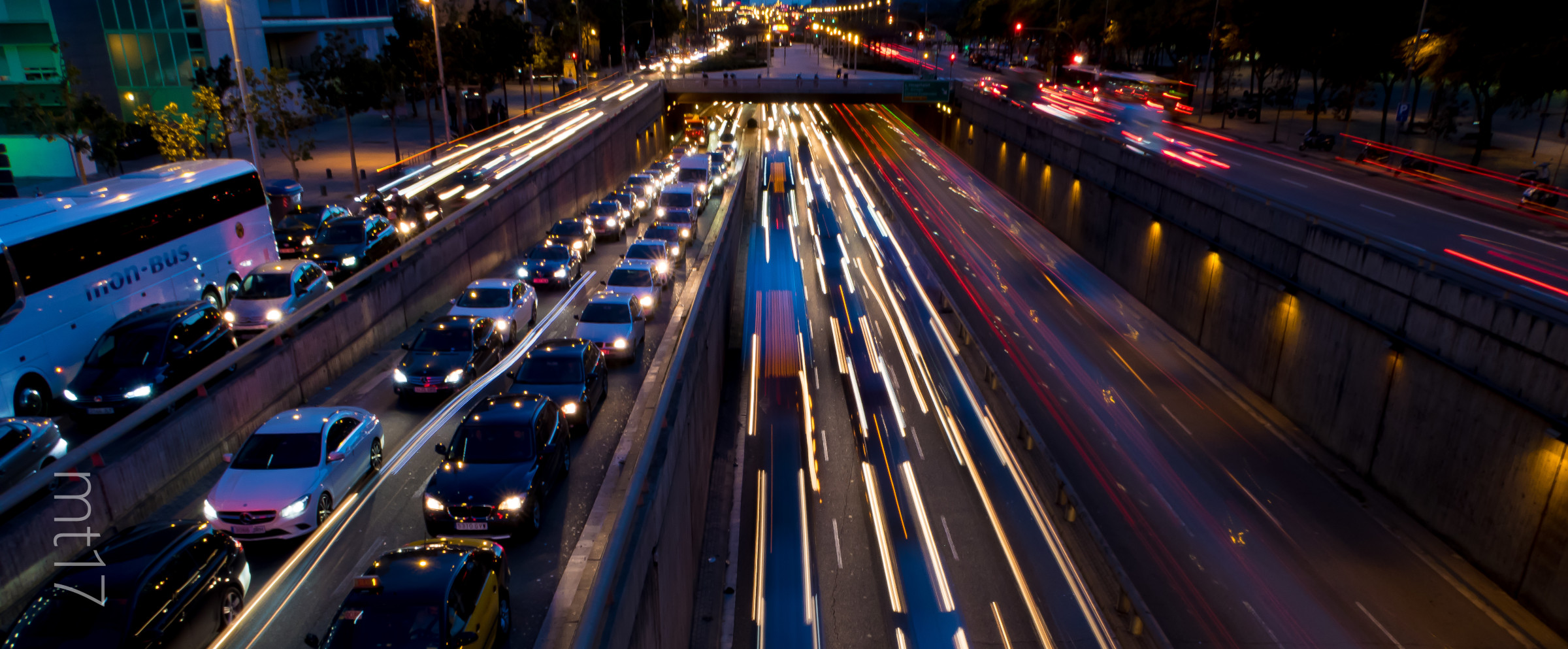 image from Don't Let the Asphalt Bury the Garden