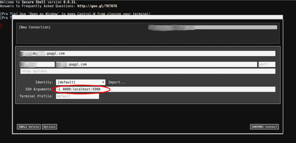 ChormeOS - Secure Shell