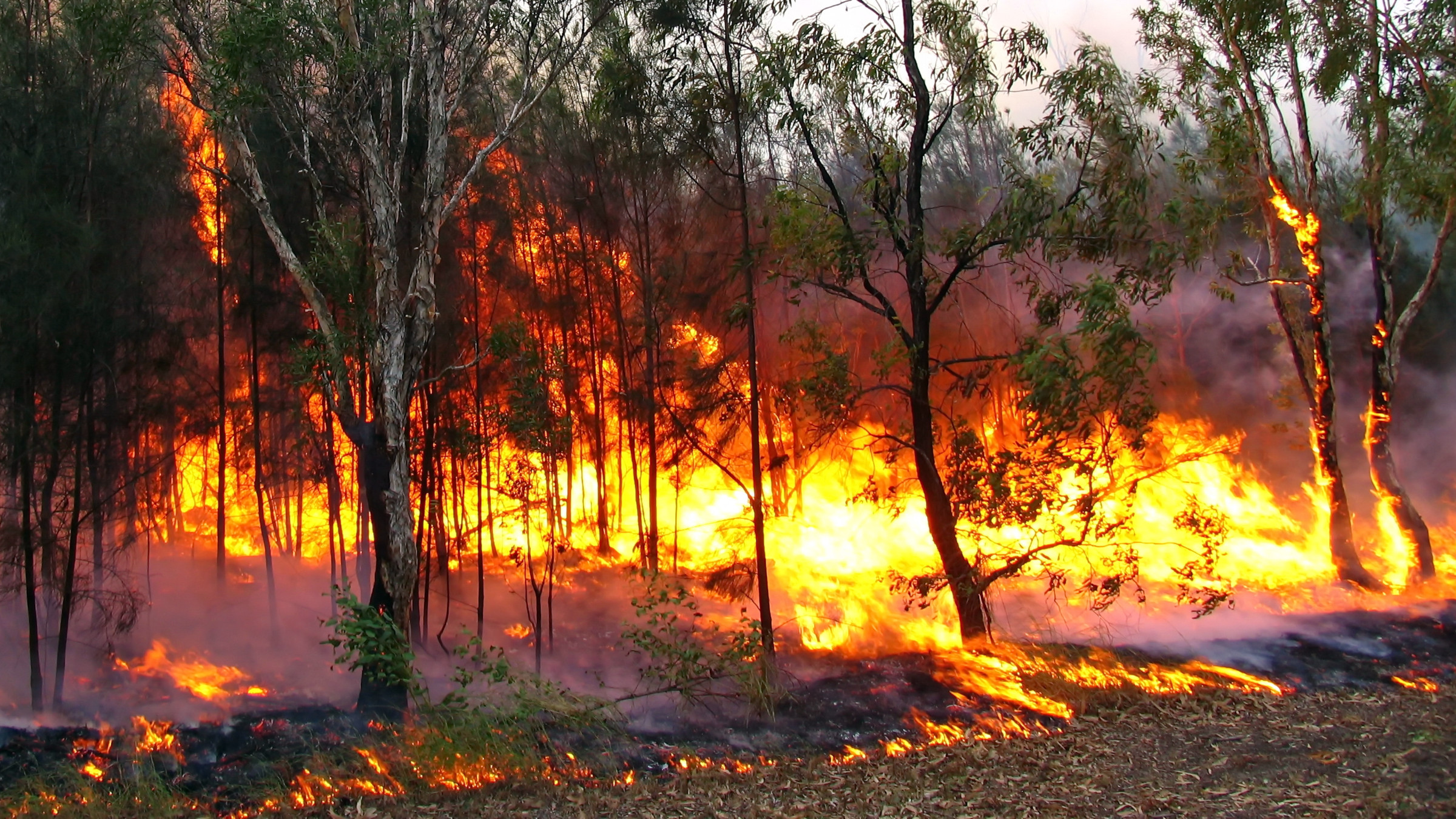 image from When the Grid Fails: Building Resilient Comms for a Changing Climate